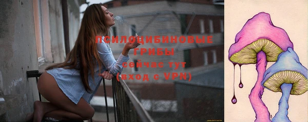 гидропоника Балахна