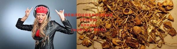 гидропоника Балахна